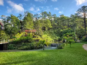 Hacienda La Florecia