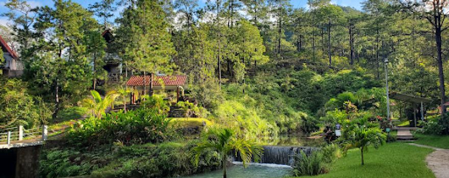 Hacienda La Florecia