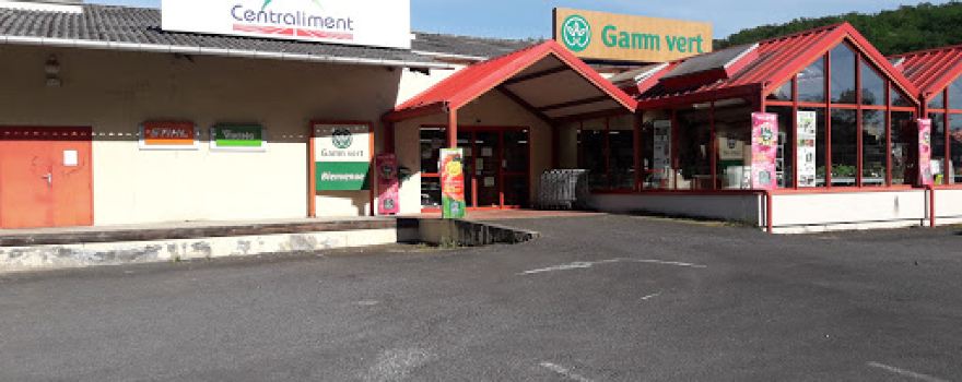 Gamm vert