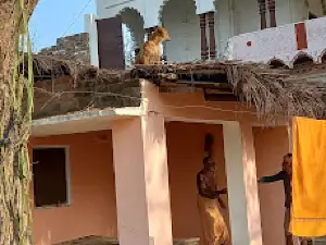 Old shiv temple churiyani