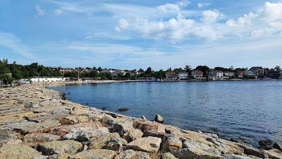 Darica