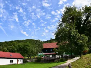 Planinski dom na Boču, Oliver čobec, s.p.