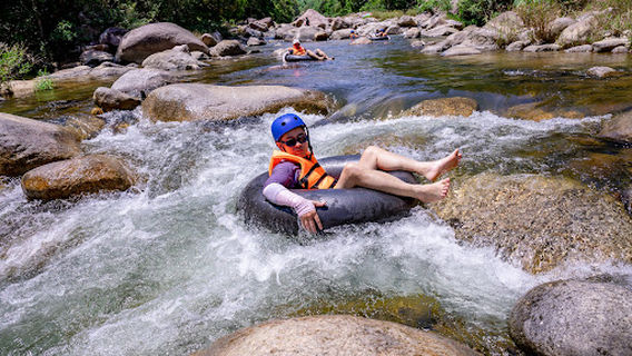 Kong Forest Adventure Park Official - Công viên thám hiểm Kong Forest