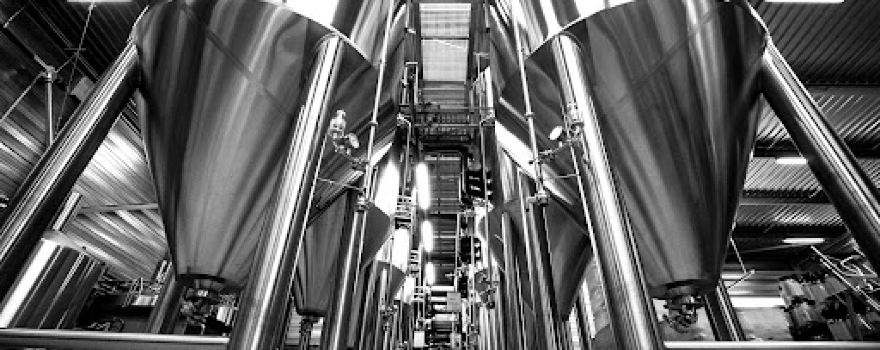 The Piggy Brewing Company