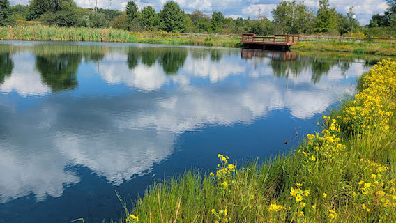 Barlow Farm Park