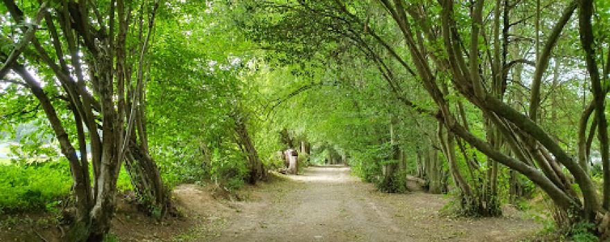 Wowo Campsite