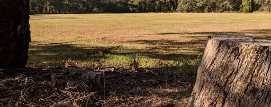 Woori Yallock Recreation Reserve