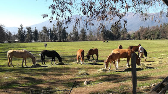 La Chinduja