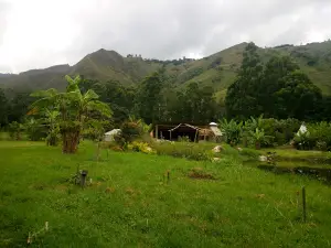 Chambalabamba-Comunidad