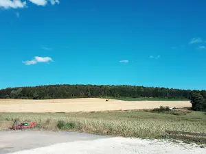 Labyrinthe de Maïs de Montmédy