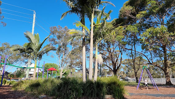 Ferntree Reserve