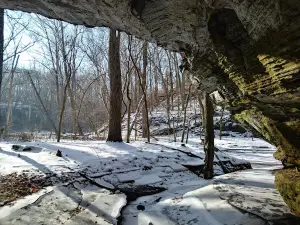 Portland Arch Nature Preserve (North Trail)