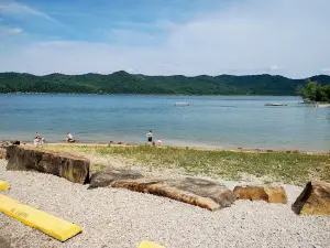 The Cove