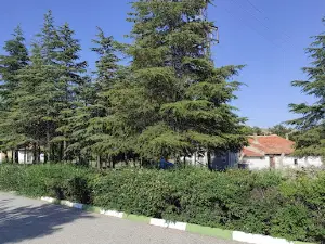 Kardeşgediği