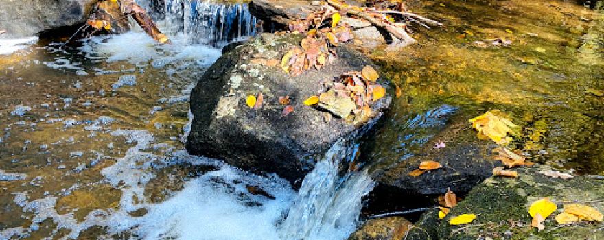 Chesterfield Gorge Natural Area