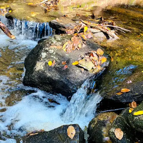 Chesterfield Gorge Natural Area