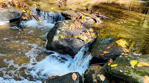 Chesterfield Gorge Natural Area