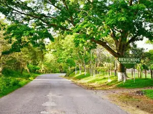 Macuelizo Central Park