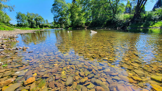 Gilson Camping Aux Frênes sa