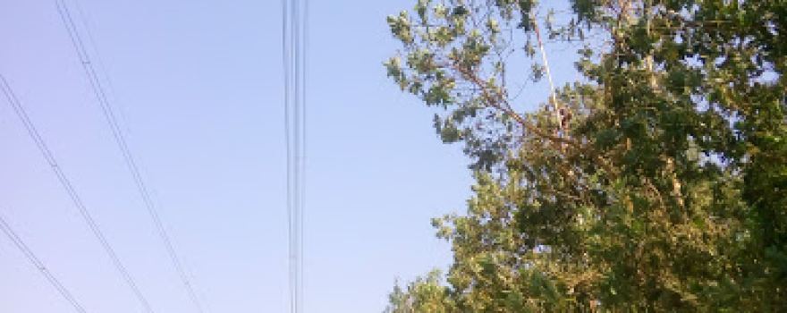 Mojlishpur playing field