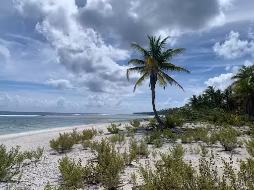 ${{cityDName}} to Tureia Flights