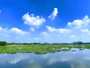 Dakatia River