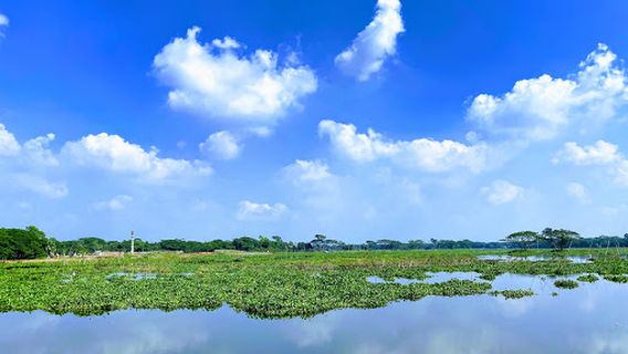 Dakatia River