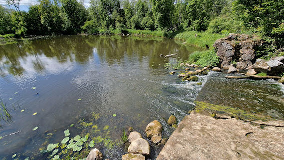 Pakriaunio malūnas