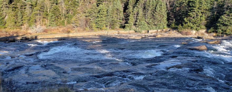 Manuels River - Registered Charity