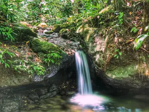 Parque Nacional Cerro Azul Meámbar