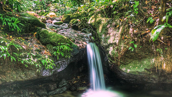 Parque Nacional Cerro Azul Meámbar
