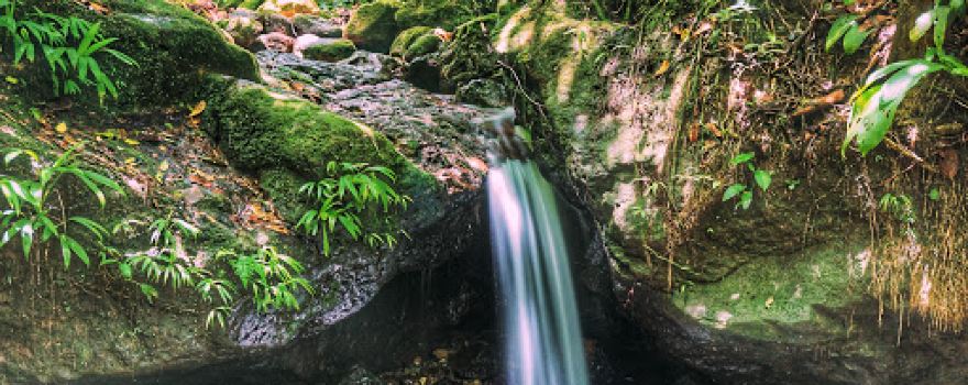 Parque Nacional Cerro Azul Meámbar