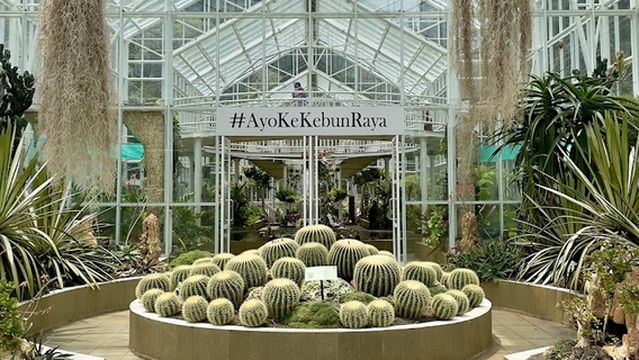 Cibodas Botanical Garden