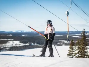 Tjamstanbackarna