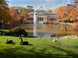 Popular Fall Viewing Attractions in Spain