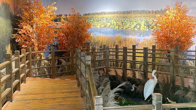 Shenyang Wetland Science Museum