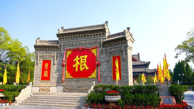 Root Character Shadow Wall