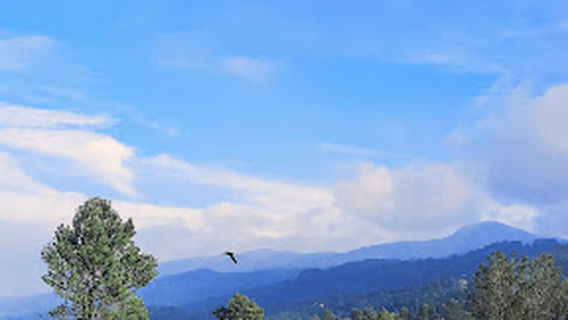 Kebun Teh Puncak Bogor