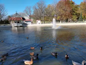 Rhema Park