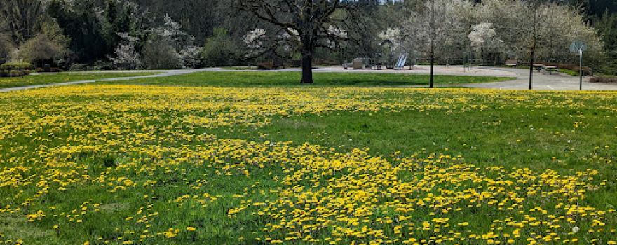 Bosco Farm Neighborhood Park