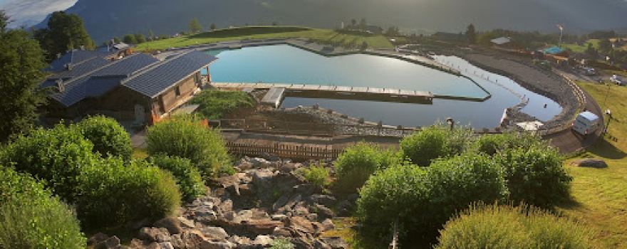 Waterhole biotope