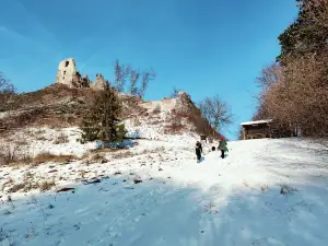 Hanigovce Castle