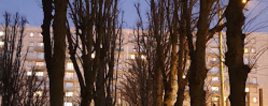 Fort De Vanves