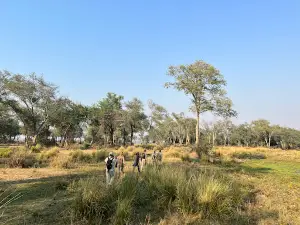 Chula Island Camp