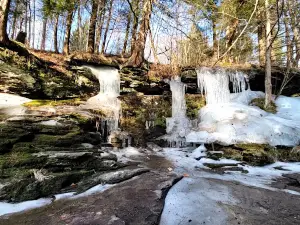 Little Rocky Glen Preserve