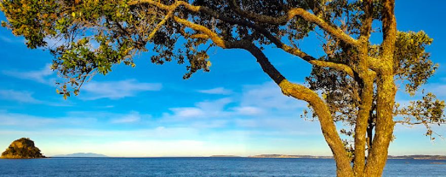 Waiwera Independent Travel Guide 2025 Top Things To Do Near You waiwera-independent-travel-guide-2025-top-things-to-do-near-you