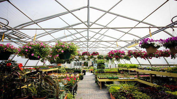 Niemeyer's Landscape Supply