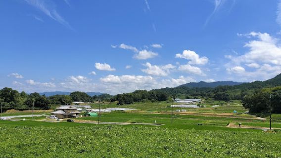 国営飛鳥歴史公園 キトラ古墳周辺地区