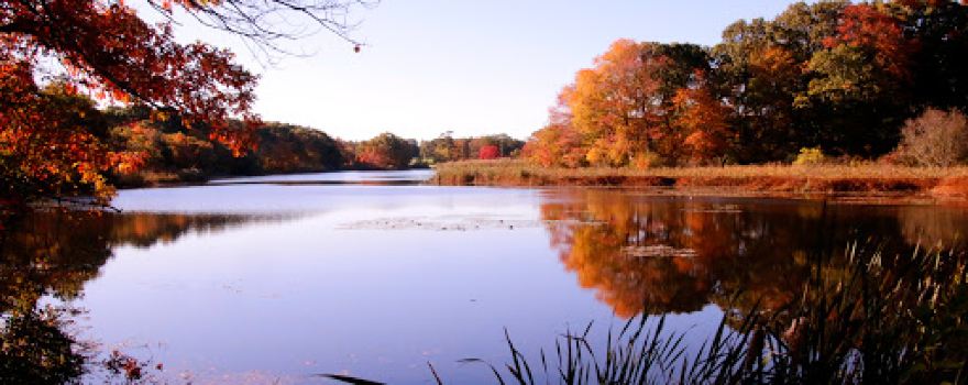 Rhode Island Country Club