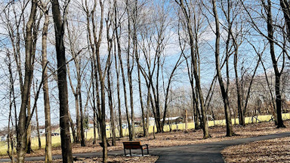 Бруклин (Нью-Йорк)